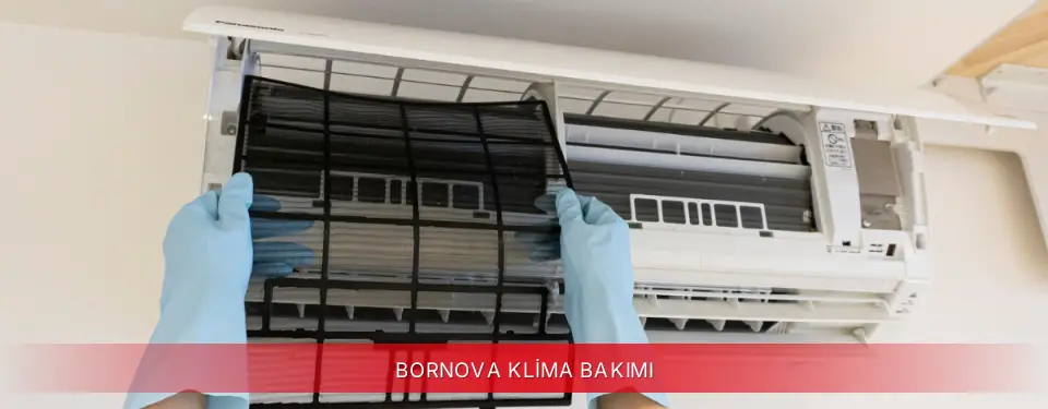 Bornova İlçemi Viessmann Klima Bakımı