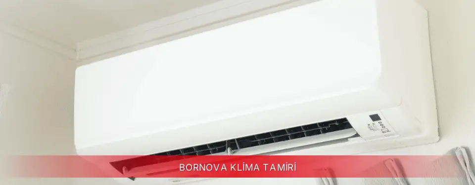 Bornova İlçemi Viessmann Klima Tamiri