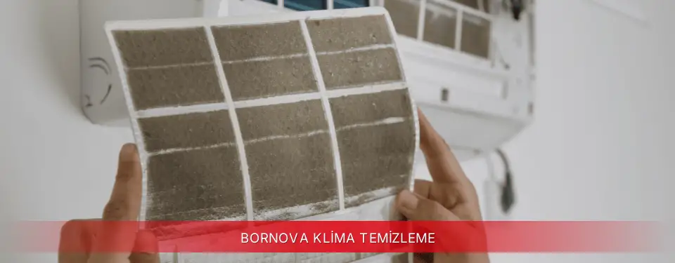 Bornova İlçemi Viessmann Klima Temizleme